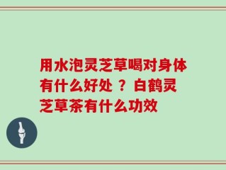 用水泡灵芝草喝对身体有什么好处 ？白鹤灵芝草茶有什么功效