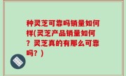种灵芝可靠吗销量如何样(灵芝产品销量如何？灵芝真的有那么可靠吗？)