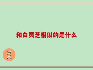 和白灵芝相似的是什么