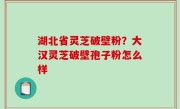 湖北省灵芝破壁粉？大汉灵芝破壁孢子粉怎么样