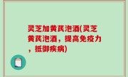 灵芝加黄芪泡酒(灵芝黄芪泡酒，提高免疫力，抵御疾病)