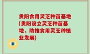 贵阳食用灵芝种苗基地(贵阳设立灵芝种苗基地，助推食用灵芝种植业发展)