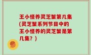 王小怪养灵芝蟹第几集(灵芝蟹系列节目中的王小怪养的灵芝蟹是第几集？)
