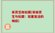 采灵芝和松蘑(采摘灵芝与松蘑：双重复活的响应)
