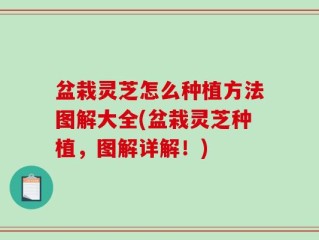 盆栽灵芝怎么种植方法图解大全(盆栽灵芝种植，图解详解！)