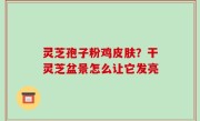 灵芝孢子粉鸡皮肤？干灵芝盆景怎么让它发亮