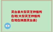 灵台县大型灵芝种植所在地(大型灵芝种植所在地在陕西灵台县)