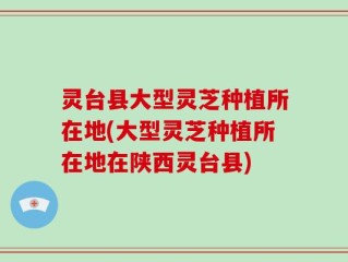 灵台县大型灵芝种植所在地(大型灵芝种植所在地在陕西灵台县)