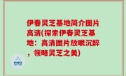 伊春灵芝基地简介图片高清(探索伊春灵芝基地：高清图片放眼沉醉，领略灵芝之美)
