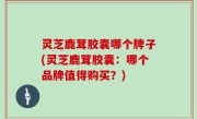 灵芝鹿茸胶囊哪个牌子(灵芝鹿茸胶囊：哪个品牌值得购买？)