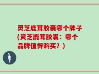 灵芝鹿茸胶囊哪个牌子(灵芝鹿茸胶囊：哪个品牌值得购买？)