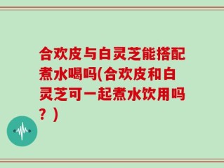 合欢皮与白灵芝能搭配煮水喝吗(合欢皮和白灵芝可一起煮水饮用吗？)