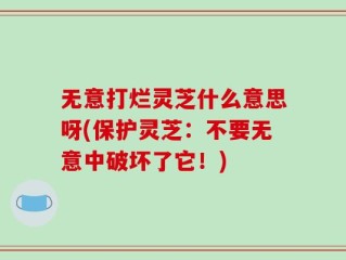 无意打烂灵芝什么意思呀(保护灵芝：不要无意中破坏了它！)
