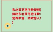 东北灵芝孢子粉视频(探秘东北灵芝孢子粉：营养丰富、功效惊人！)