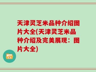 天津灵芝米品种介绍图片大全(天津灵芝米品种介绍及完美展现：图片大全)