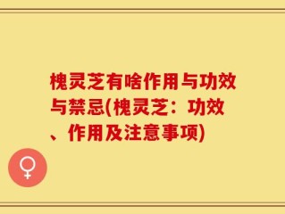 槐灵芝有啥作用与功效与禁忌(槐灵芝：功效、作用及注意事项)