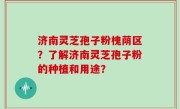 济南灵芝孢子粉槐荫区？了解济南灵芝孢子粉的种植和用途？
