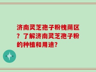 济南灵芝孢子粉槐荫区？了解济南灵芝孢子粉的种植和用途？