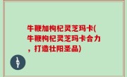 牛鞭加枸杞灵芝玛卡(牛鞭枸杞灵芝玛卡合力，打造壮阳圣品)