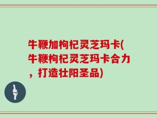 牛鞭加枸杞灵芝玛卡(牛鞭枸杞灵芝玛卡合力，打造壮阳圣品)