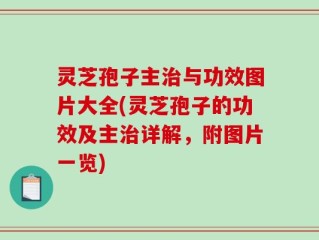 灵芝孢子主治与功效图片大全(灵芝孢子的功效及主治详解，附图片一览)