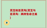 灵芝和百灵鸟(灵芝与百灵鸟：两种生命之美)