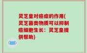 灵芝皇对癌症的作用(灵芝菌类物质可以抑制癌细胞生长：灵芝皇提供帮助)
