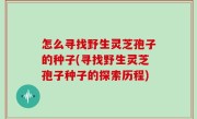 怎么寻找野生灵芝孢子的种子(寻找野生灵芝孢子种子的探索历程)