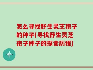 怎么寻找野生灵芝孢子的种子(寻找野生灵芝孢子种子的探索历程)