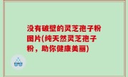 没有破壁的灵芝孢子粉图片(纯天然灵芝孢子粉，助你健康美丽)