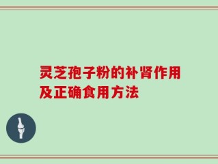 灵芝孢子粉的补肾作用及正确食用方法