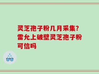 灵芝孢子粉几月采集？雷允上破壁灵芝孢子粉可信吗