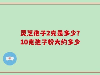 灵芝孢子2克是多少？10克孢子粉大约多少