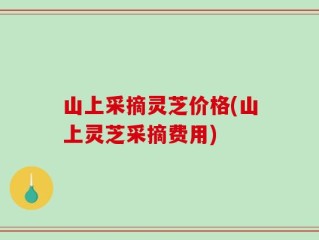 山上采摘灵芝价格(山上灵芝采摘费用)