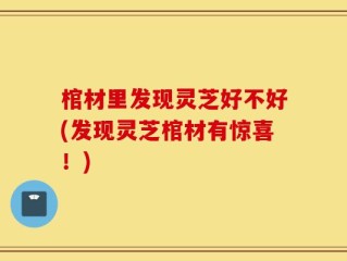棺材里发现灵芝好不好(发现灵芝棺材有惊喜！)