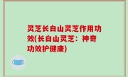 灵芝长白山灵芝作用功效(长白山灵芝：神奇功效护健康)