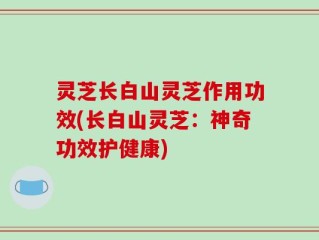 灵芝长白山灵芝作用功效(长白山灵芝：神奇功效护健康)