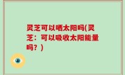 灵芝可以哂太阳吗(灵芝：可以吸收太阳能量吗？)
