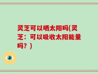 灵芝可以哂太阳吗(灵芝：可以吸收太阳能量吗？)