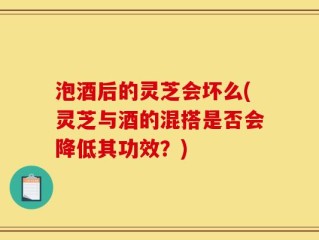 泡酒后的灵芝会坏么(灵芝与酒的混搭是否会降低其功效？)