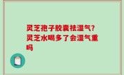 灵芝孢子胶囊祛湿气？灵芝水喝多了会湿气重吗