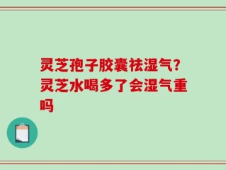灵芝孢子胶囊祛湿气？灵芝水喝多了会湿气重吗