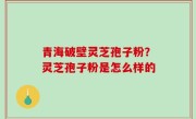 青海破壁灵芝孢子粉？灵芝孢子粉是怎么样的