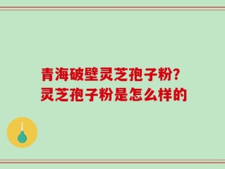 青海破壁灵芝孢子粉？灵芝孢子粉是怎么样的