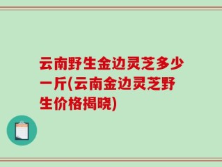 云南野生金边灵芝多少一斤(云南金边灵芝野生价格揭晓)