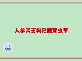 人参灵芝枸杞鹿茸虫草