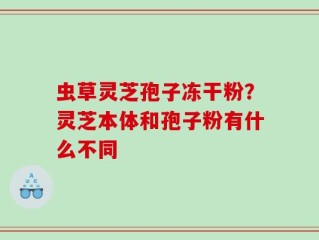 虫草灵芝孢子冻干粉？灵芝本体和孢子粉有什么不同
