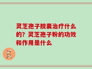 灵芝孢子胶囊治疗什么的？灵芝孢子粉的功效和作用是什么