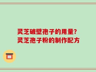 灵芝破壁孢子的用量？灵芝孢子粉的制作配方