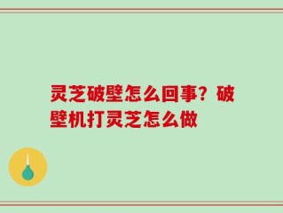 灵芝破壁怎么回事？破壁机打灵芝怎么做